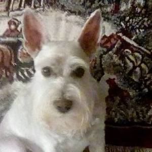 Meet your Posher, Pam